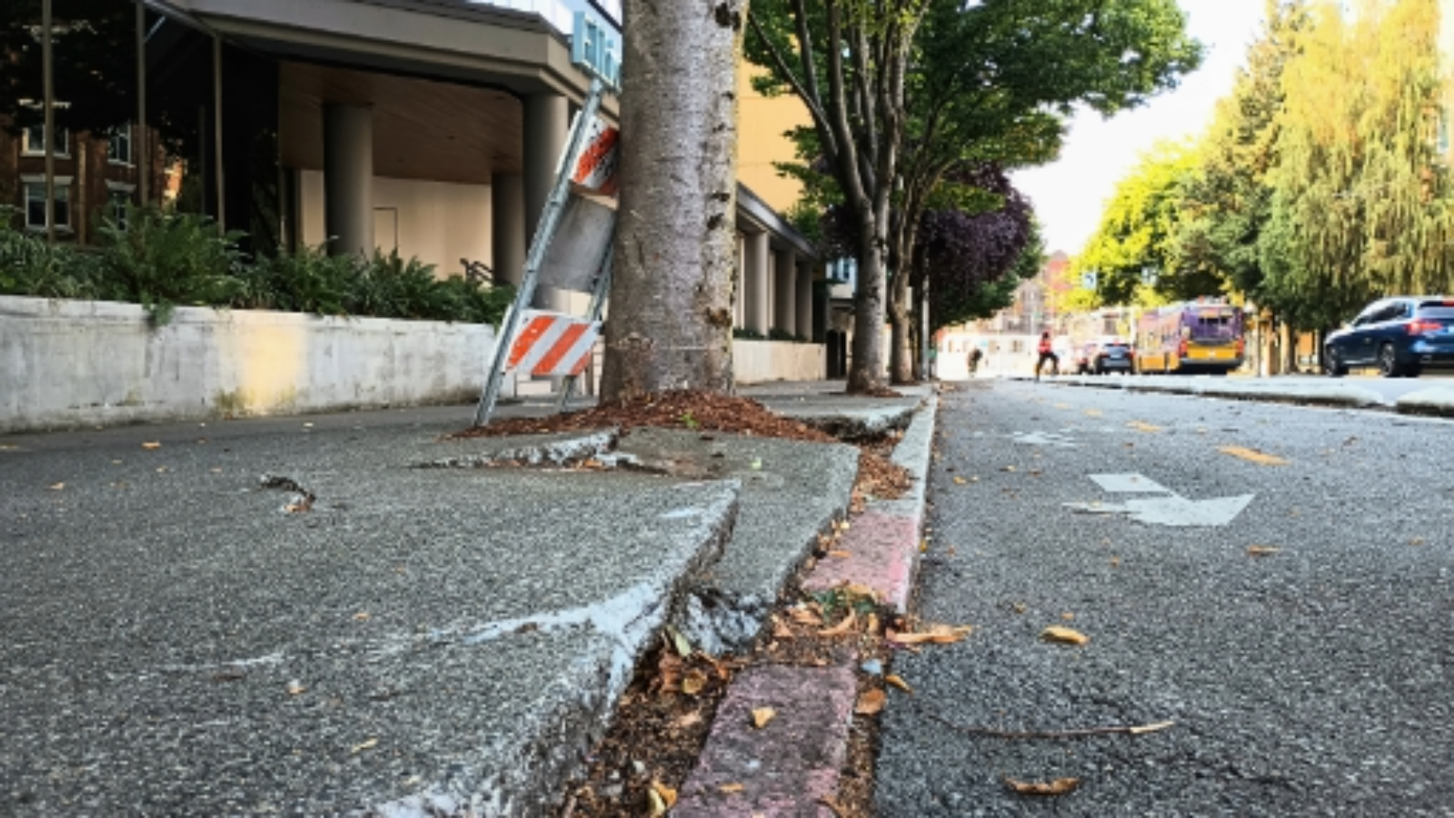 Morales Proposes Adding Sidewalks to Seattle's Complete Streets Ordinance