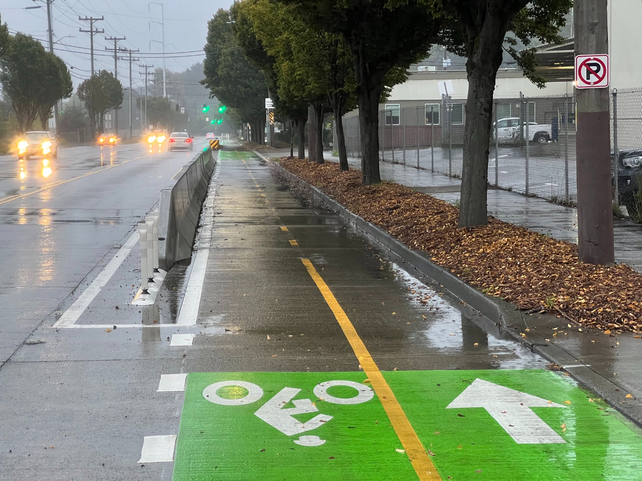 Completed Duwamish Trail Connection Led to Doubling of Walking and Biking